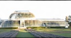 The Palm House at Kew Gardens