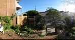 Strange Attractor at Page St Garden