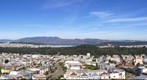 Golden Gate Park View