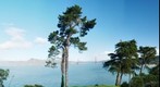San Francisco golden gate, again :)