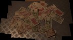 Old poland money