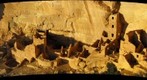 Square Tower Ruin Mesa Verde National Park USA