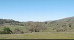 Grant Ranch Park - Looking North from Upper Hotel Trail - Halls Valley, CA