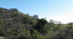 Grant Ranch Park - Looking South from Bass Lake Trail - Halls Valley, CA