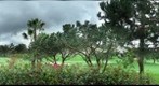 Orange County, California