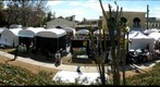 Mount Dora Arts Festival 360, Florida, USA