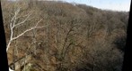 From Walnut Lane Bridge 2