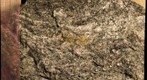 Mica Schist
