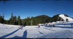 Grouse Mountain