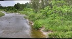 Beaver Valley Nature Area - Near Meaford, Ontario