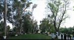 Mark of Love Pano
