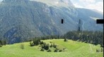 Mitgel Sommer