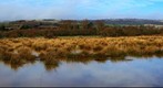 Brading Down