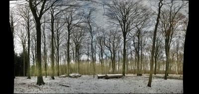 17313-400x189