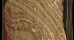 Castile Fm. Evaporites