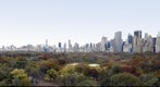 Central Panorama