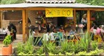 Nicholas Horkley's Birthday Party in La Granja near Bogota