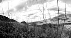 Morning Star Ranch From San Cayetano Hills