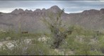 Tucson - Saguaro National Park West - Twin Peaks Area