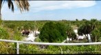 Fort DeSoto Park 360, Tampa Bay, Florida, USA
