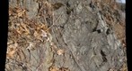 Folded Schist 2
