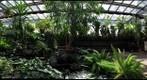 Dow Gardens - The Conservatory Pt. 2 - Midland, Michigan