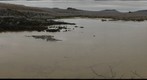 Galapagos -Floreana flamingo lake 2