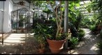 Dow Gardens - The Conservatory Pt. 1 - Midland, Michigan