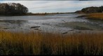 Squeteague Harbor, SE shore