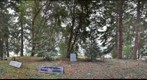 Overview of Miller family plot, Yoncalla Pioneer Cemetery, Yoncalla Oregon (k2)