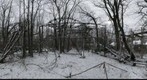 Abandoned roller coaster in the woods
