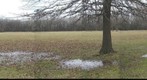 Forest Preserve Test Panorama