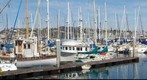 Americas Cup Harbor