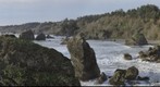 Humboldt Coast