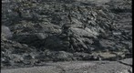 Fernandina volcanic landscape