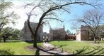 Rice University: Megan, a Student of Physics and a Rice Owl