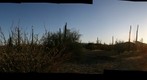 giant cardon forrest camp 1