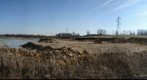 Frozen Lake in Gravel Pit