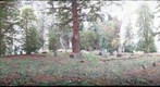 Yoncalla Pioneer Cemetary - overview (k4)