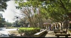 LSU courtyard