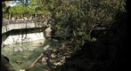 White Tigers at the Audubon Zoo, New Orleans