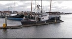 Humboldt Bay