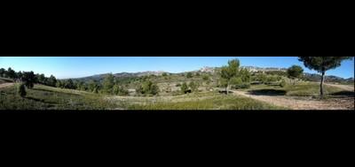 18499-400x189