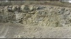 Silurian Patch Reefs