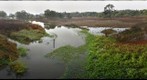 Laguna de Santa Rosa from Occidental Road bridge (j3)