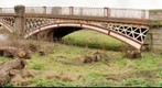 Bridge over the river Tame