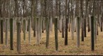 Telephone Pole Farm