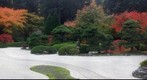 Stone Garden in November