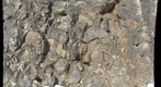 Pillow Basalts 2