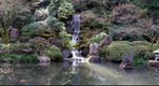 Koi pond in March